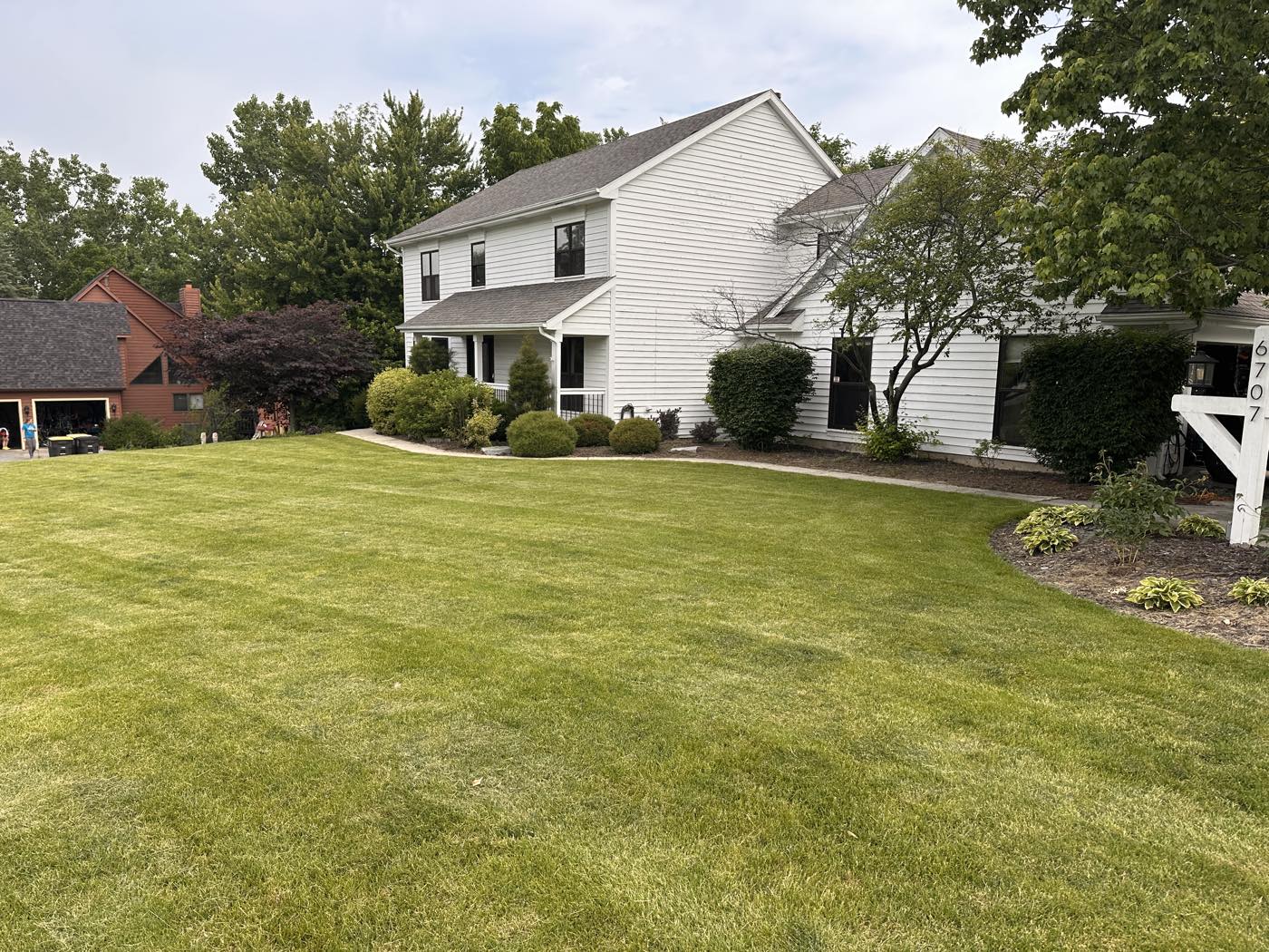 Front landscape beds with tired mulch and soft edges before renovation