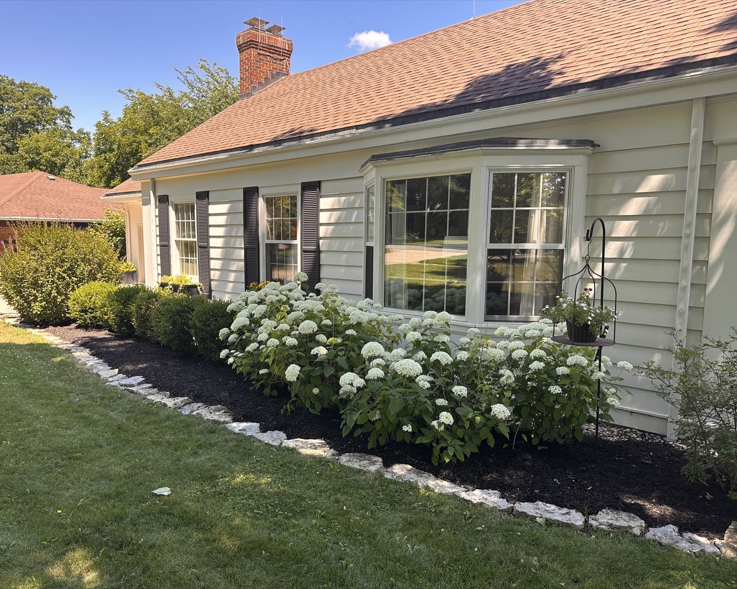 Landscape bed with blooming hydrangeas, fresh dark mulch and natural stone edging