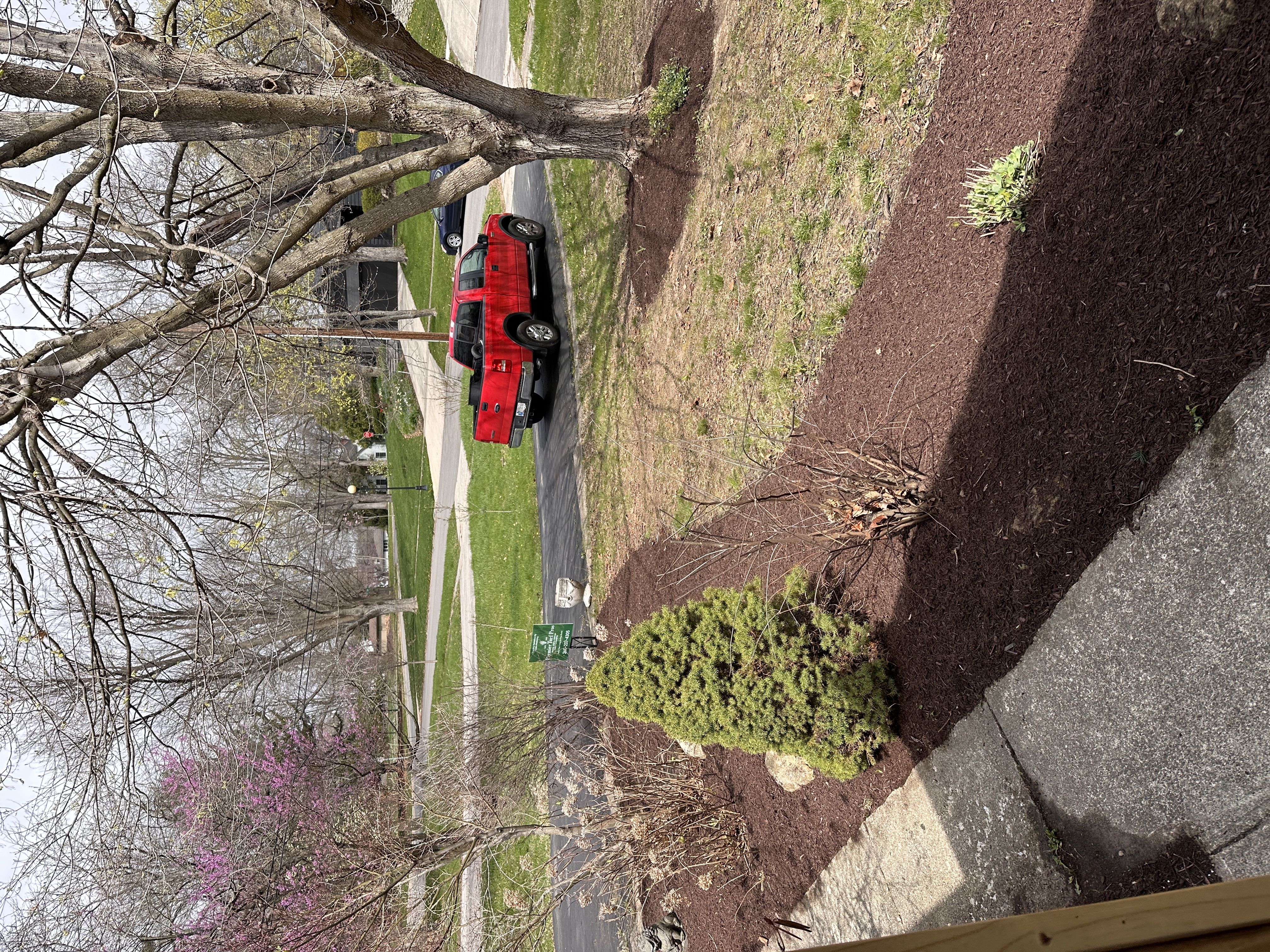 Freshly installed landscape bed with mulch and clean edging